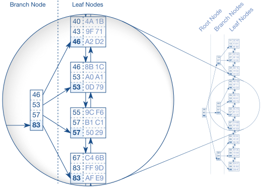 fig01_02_tree_structure.en.BdEzalqw